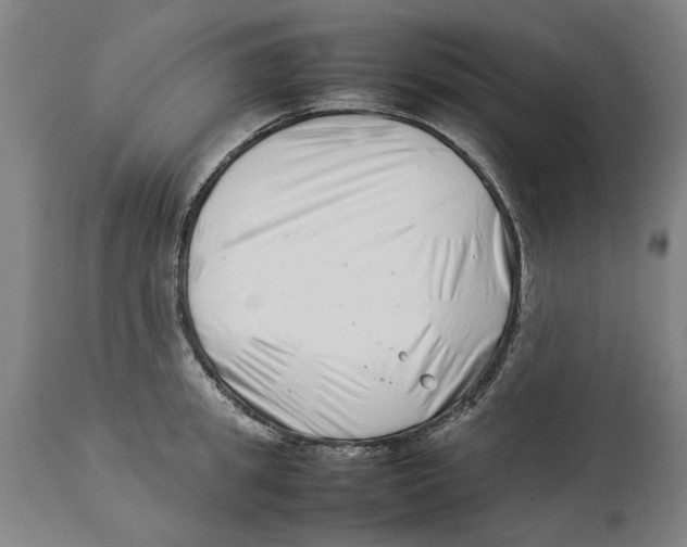 X0000114140949200911051418