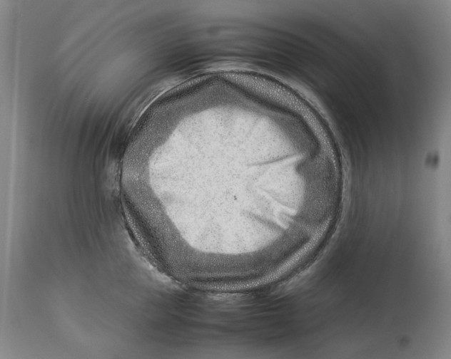 X0000114140953200911051418