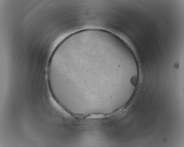 X0000114140958200911051418