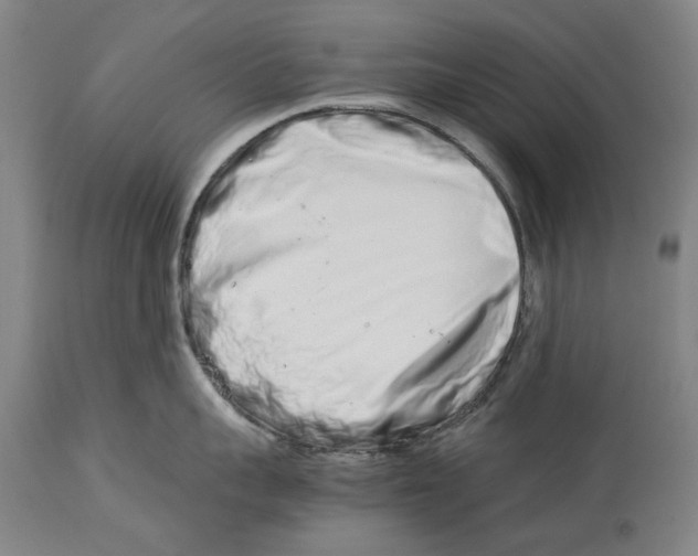 X0000114140959200911051418