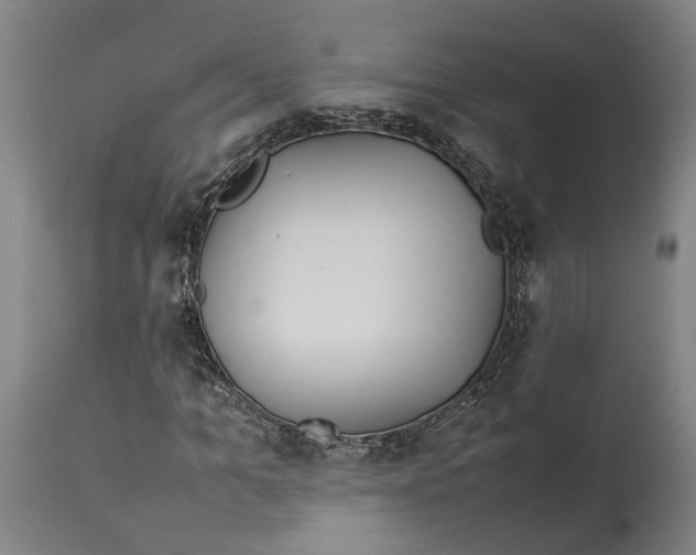 X0000114140965200911051417