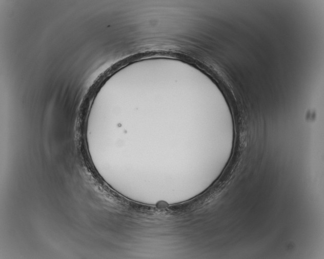 X0000114140975200911051417