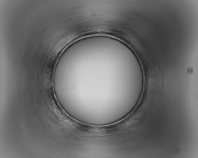 X0000114140977200911051417