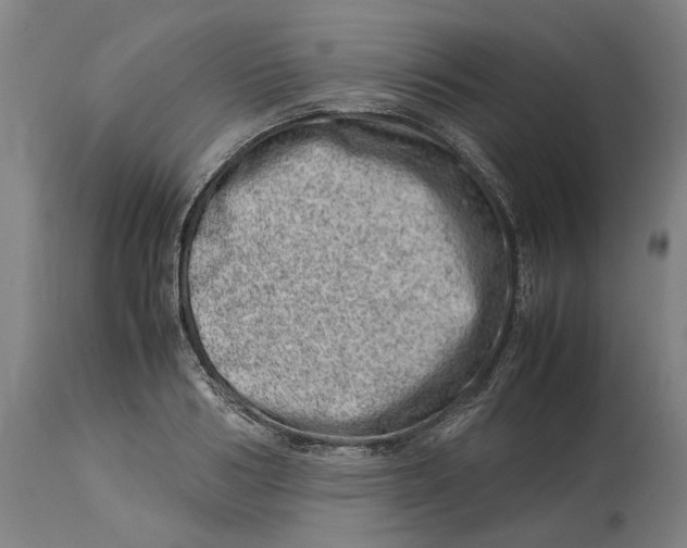 X0000114140986200911051417