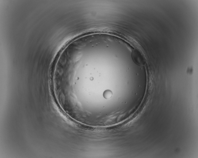 X0000114140989200911051417