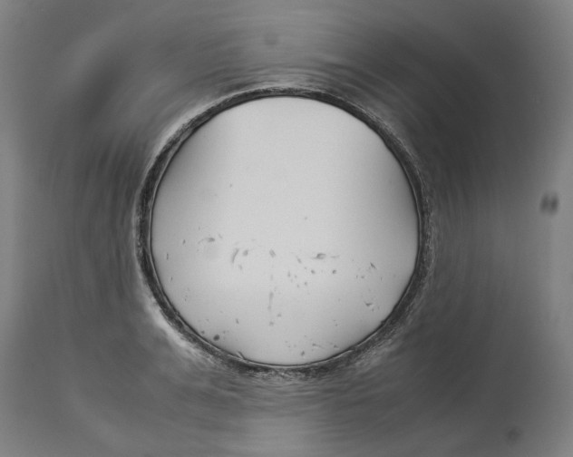 X0000114140991200911051417