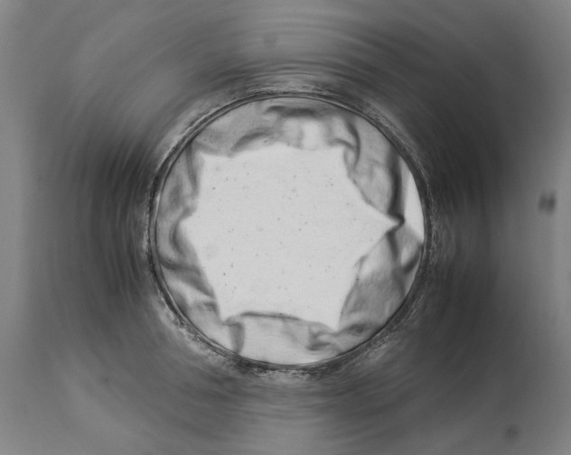 X0000114140994200911051417