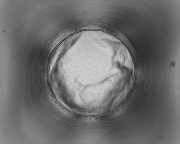 X0000114141002200911051417