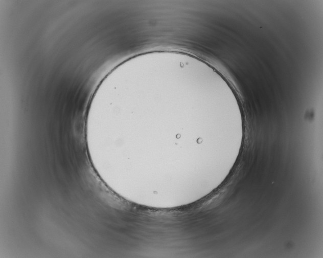 X0000114141004200911051417