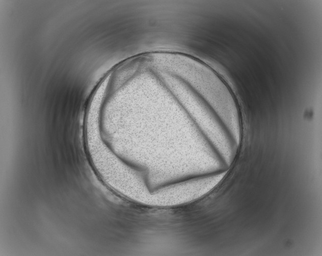 X0000114141006200911051417