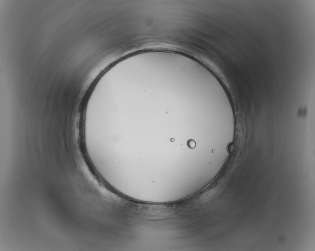 X0000114141007200911051417