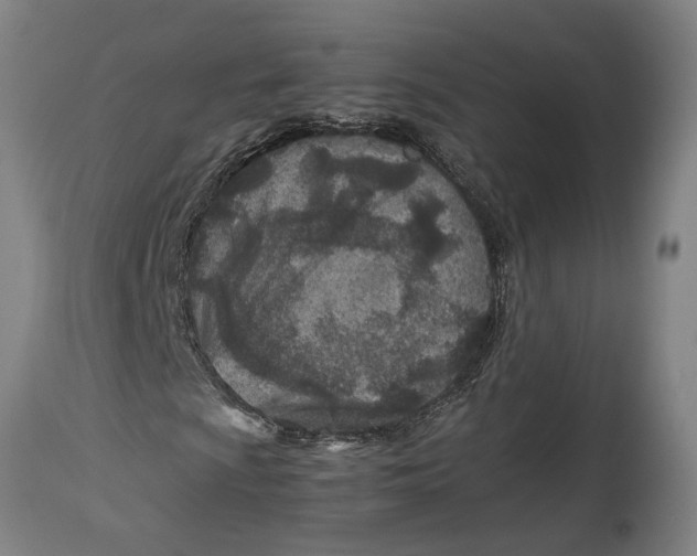 X0000114141009200911051416