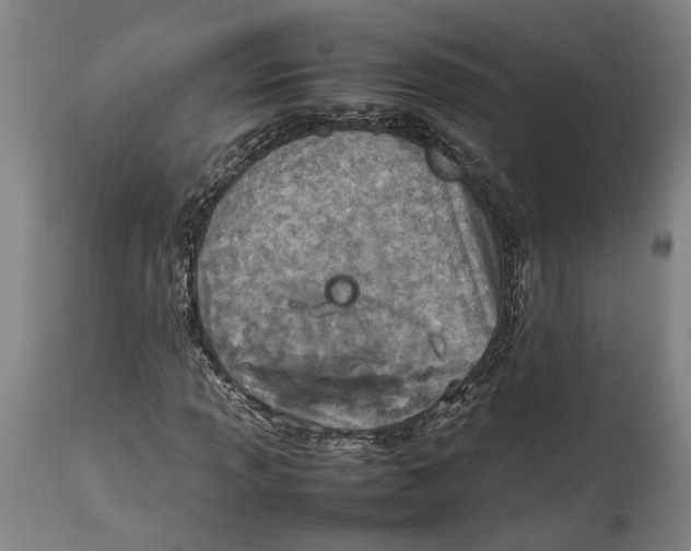 X0000114141013200911051416