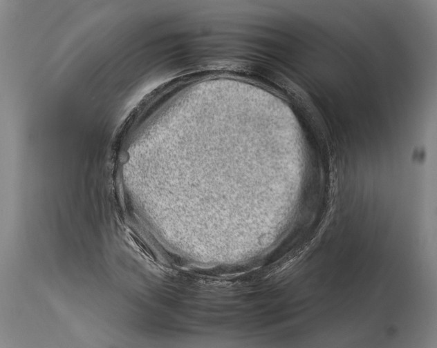 X0000114141019200911051416