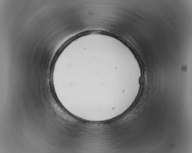 X0000114141020200911051416