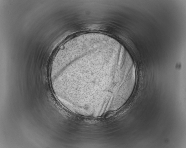 X0000114141023200911051416