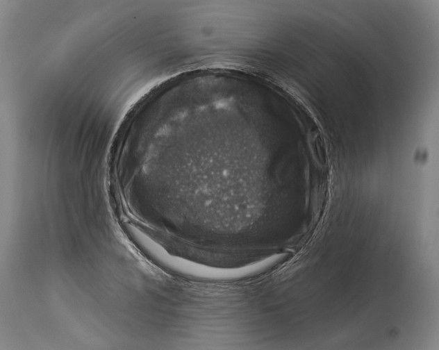 X0000114141024200911051416