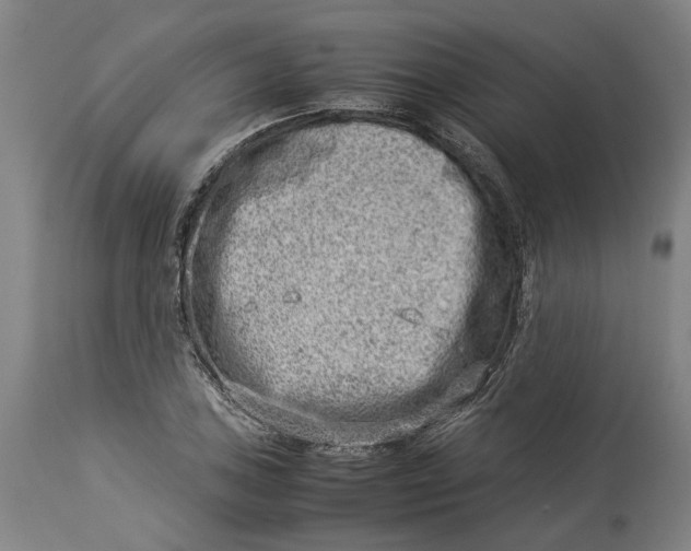 X0000114141027200911051416