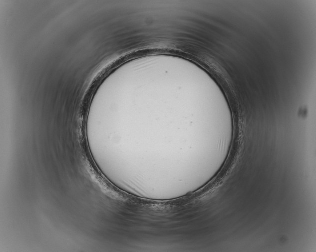 X0000114141029200911051416