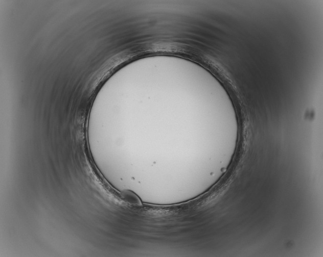 X0000114141033200911051416