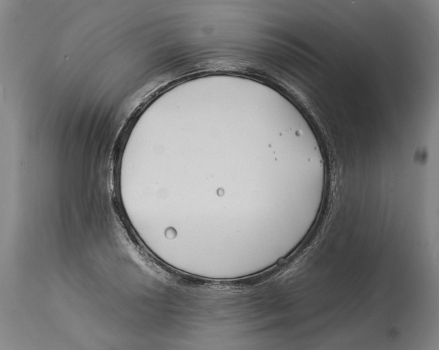 X0000114141034200911051416