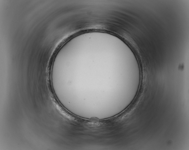 X0000114141037200911051416