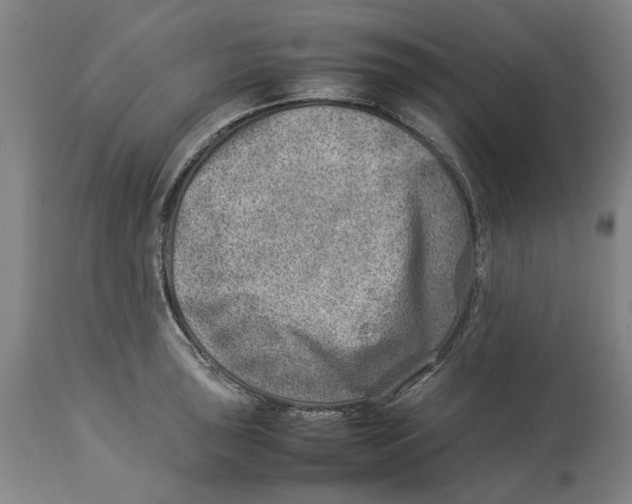 X0000114141043200911051416