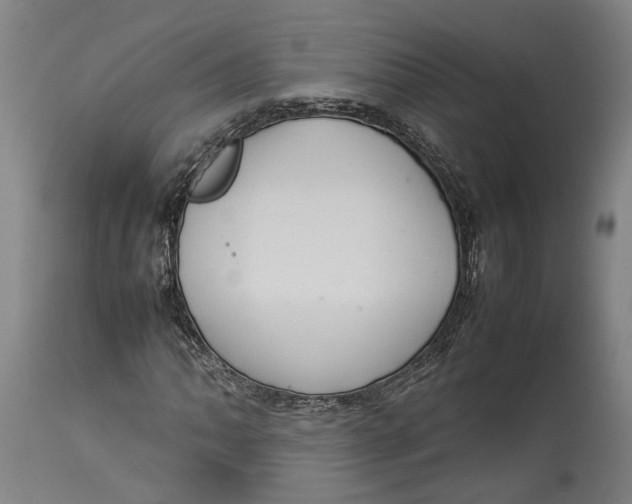 X0000114141062200911051416