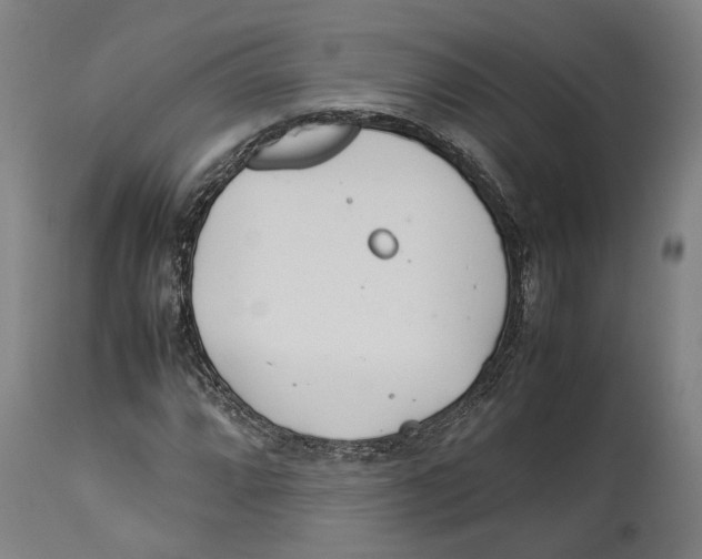 X0000114141064200911051416