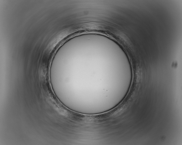 X0000114141065200911051416