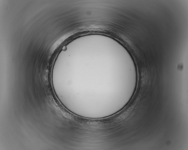 X0000114141066200911051416