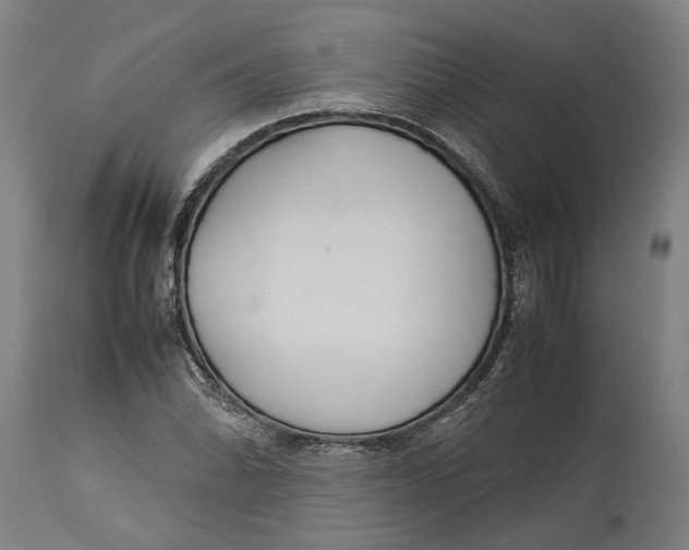 X0000114141070200911051416