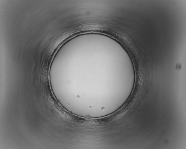 X0000114141073200911051416