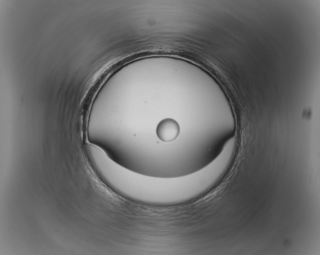 X0000114141075200911051416