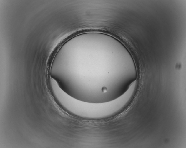 X0000114141077200911051416