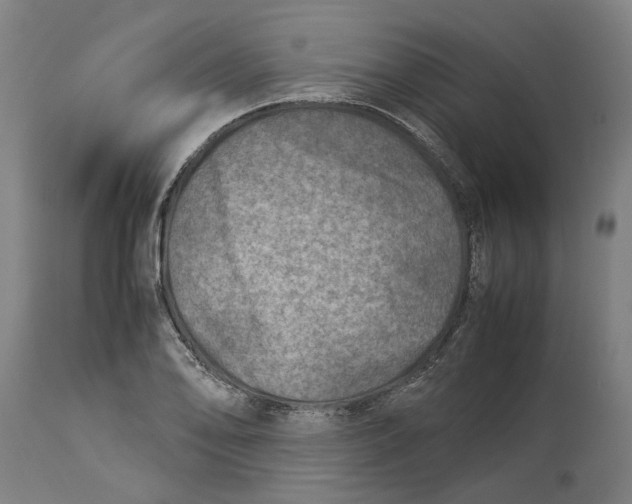 X0000114141078200911051416