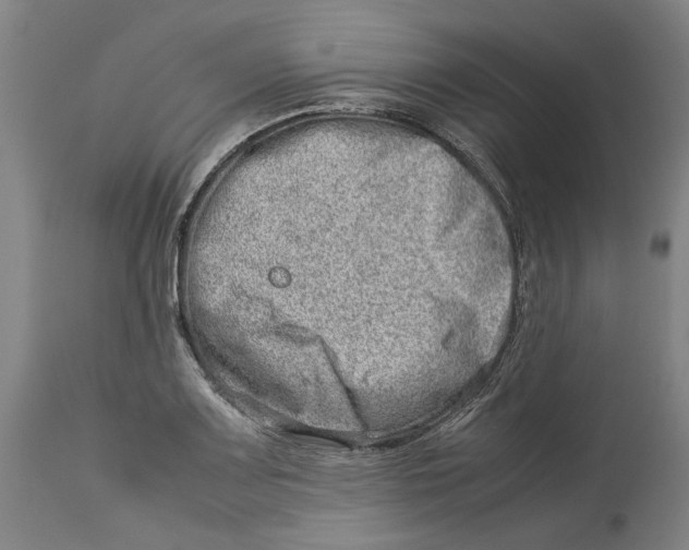 X0000114141083200911051416