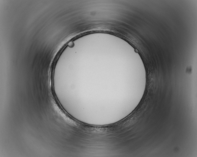 X0000114141084200911051416