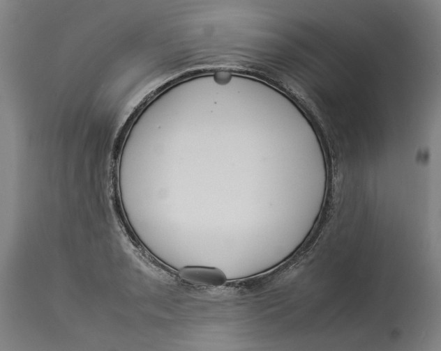 X0000114141085200911051416