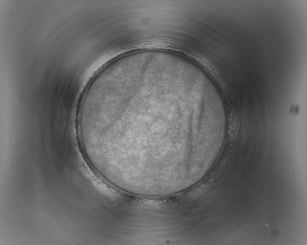 X0000114141086200911051416