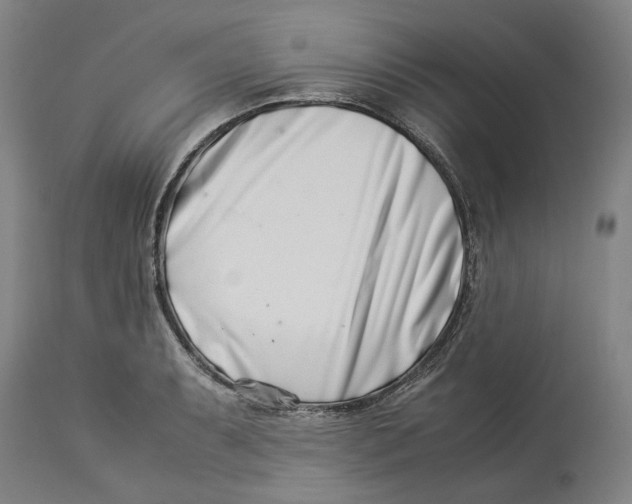 X0000114141087200911051416