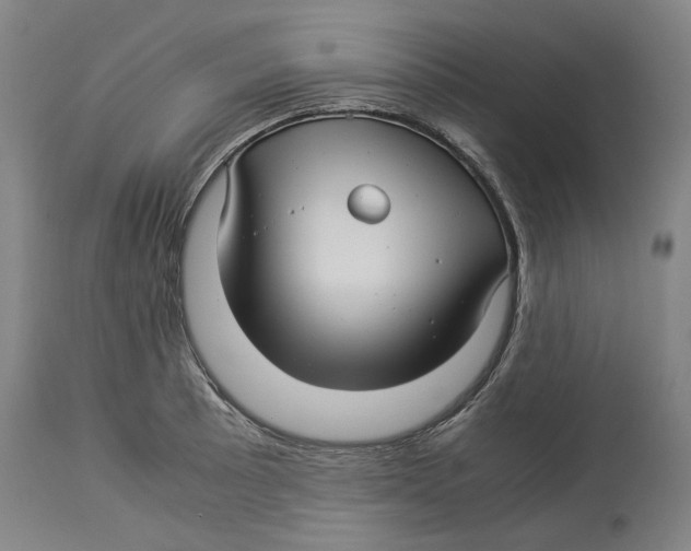 X0000114141089200911051416