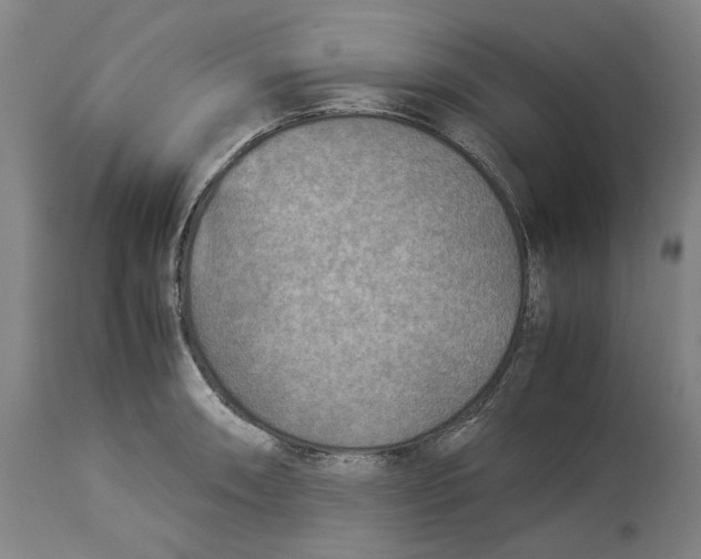 X0000114141090200911051416