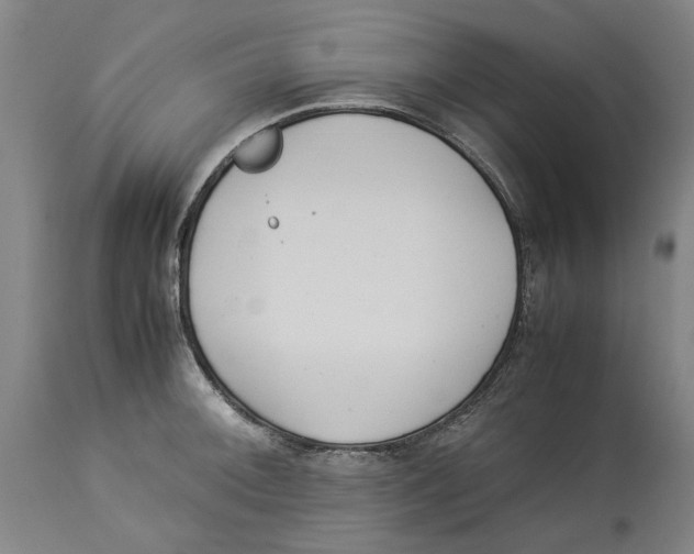 X0000114141092200911051415