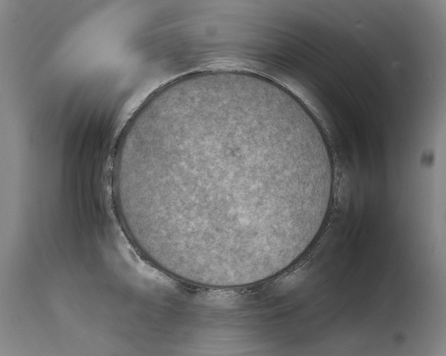 X0000114141094200911051415