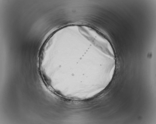 X0000114141095200911051415