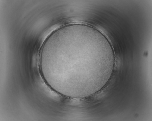 X0000114141098200911051415