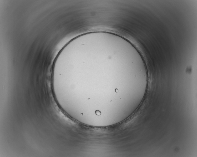 X0000114141102200911051415