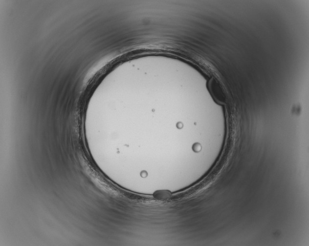 X0000114141114200911051415