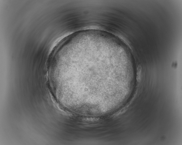 X0000114141117200911051415